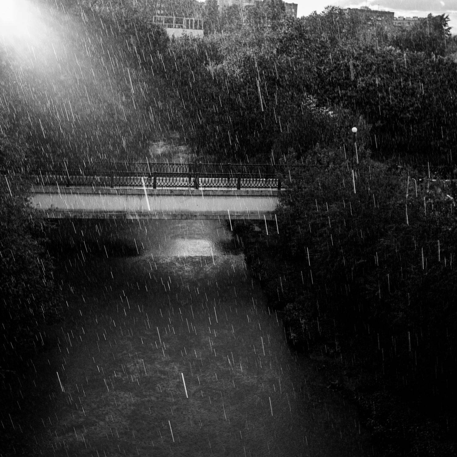 Photo #7833945