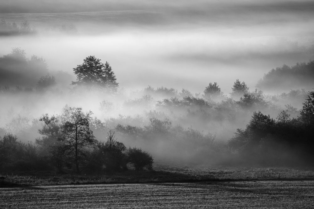 Photograph by Wiktor Kulesa