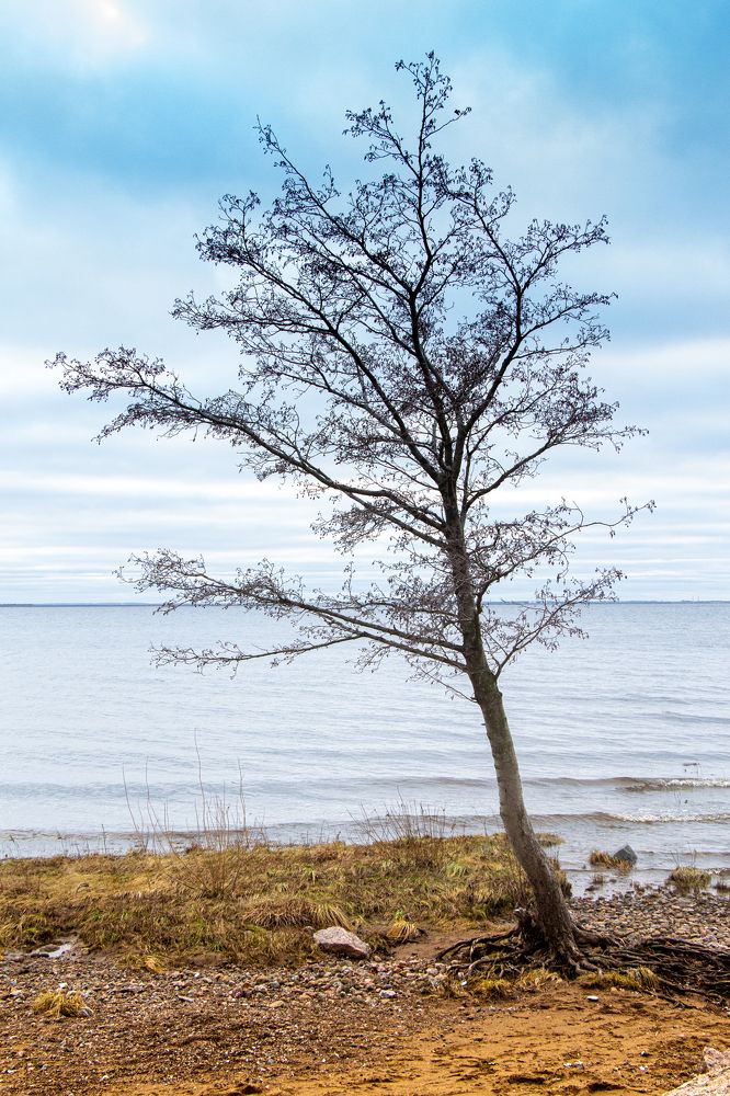 Photograph by Сергей