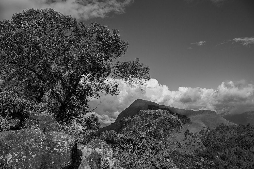 Фотография автора Laddu Sasindu Pramuditha De Silva