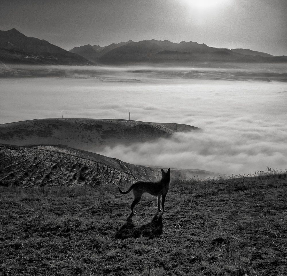 Photograph by Орынбек Асилбаев