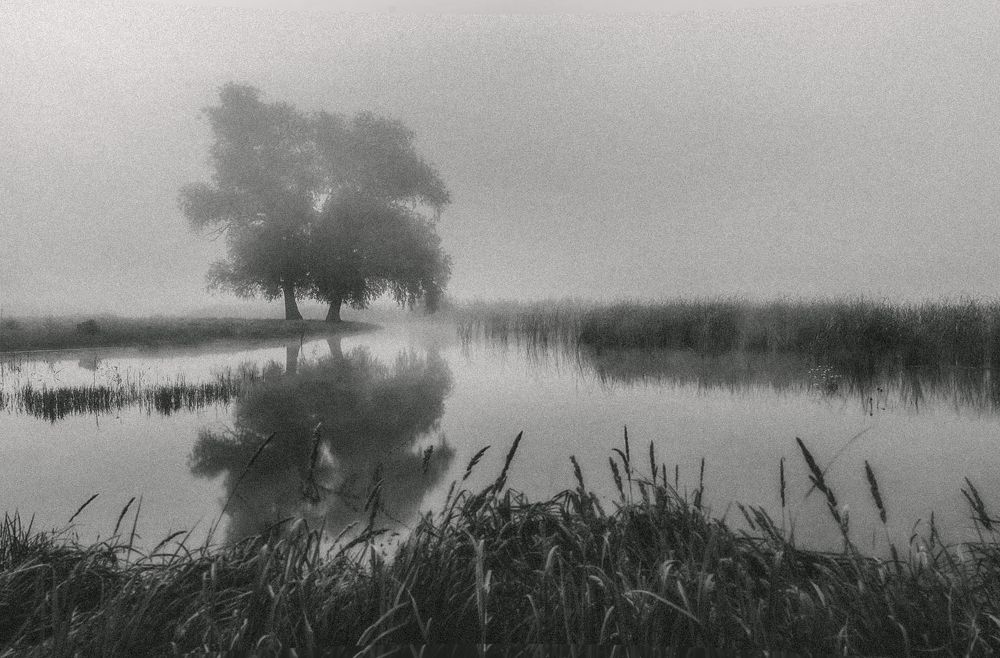 Фотография автора 