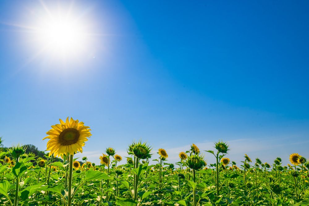 Photograph by Валерий Глоба