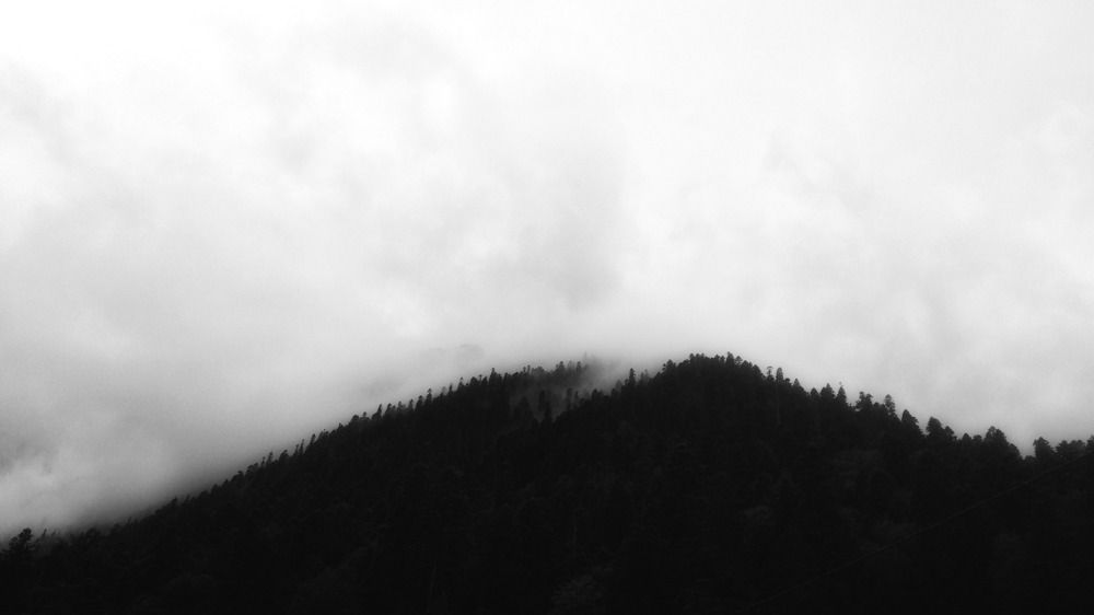 Photograph by Snow Vadim