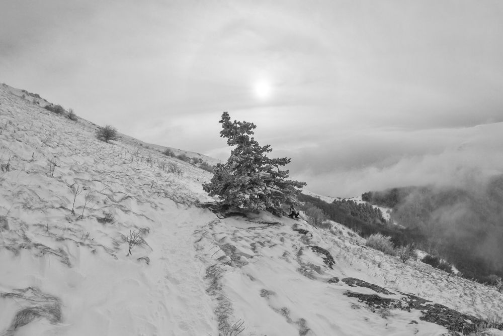 Фотография автора Алексей Самойлов