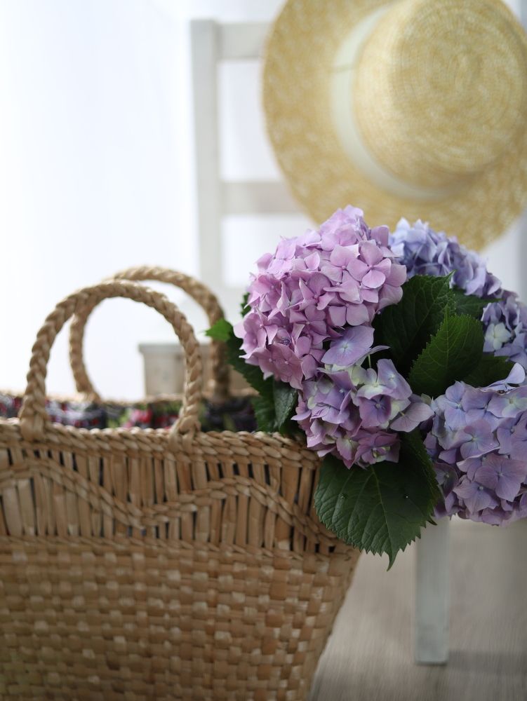 Photograph by Анастасия Рабочева