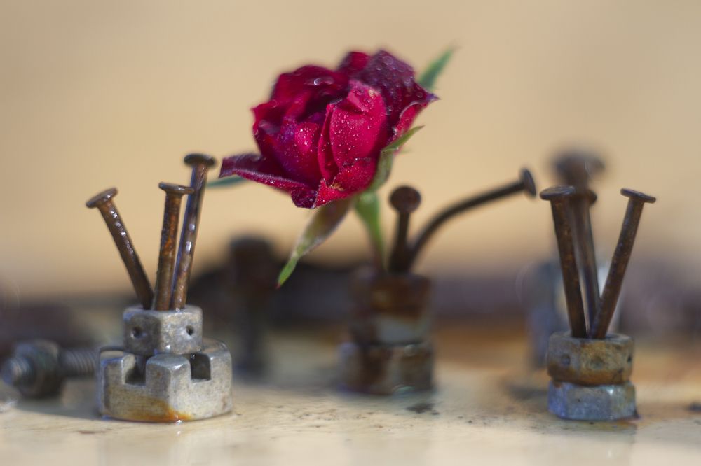 Photograph by Андрей Тарасюк