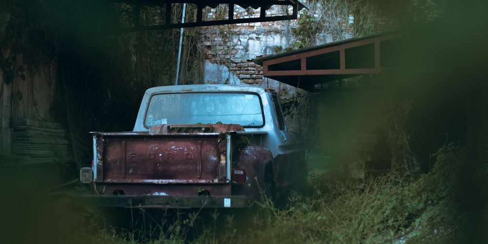 la naturaleza reclamando su mundo