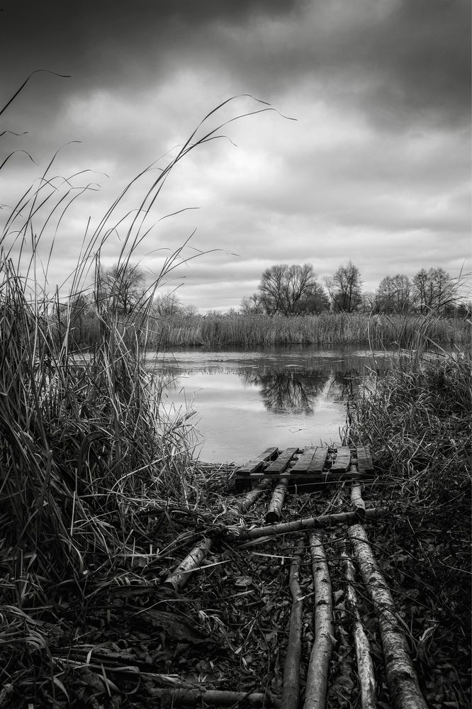 Photograph by Виктория Селютина