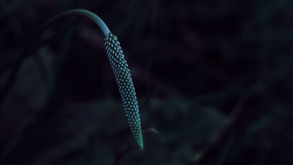 Photograph by Ольга Кондакова