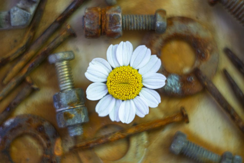 Photograph by Андрей Тарасюк