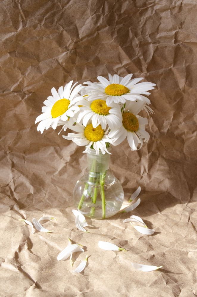 Photograph by Анастасия Рабочева