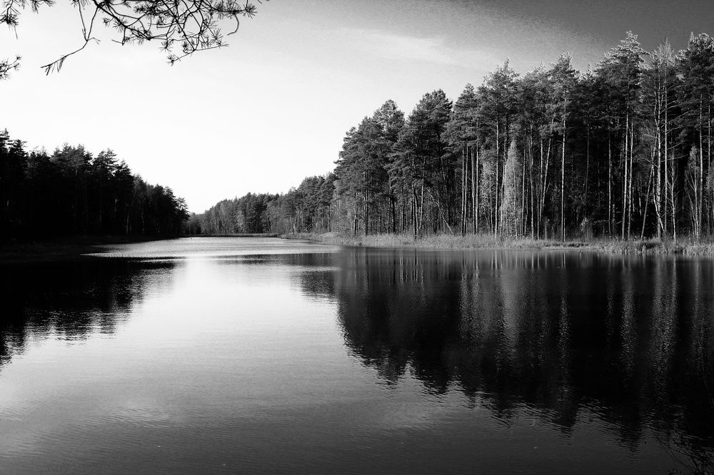 Photograph by Татьяна Погребная