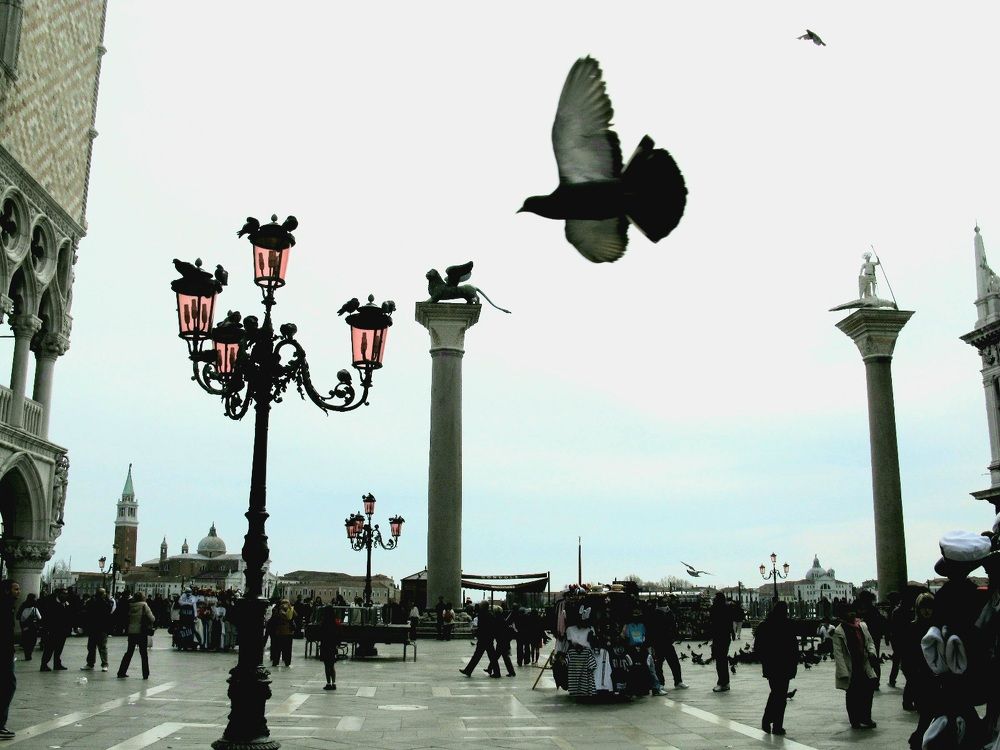 Фотография автора Natali