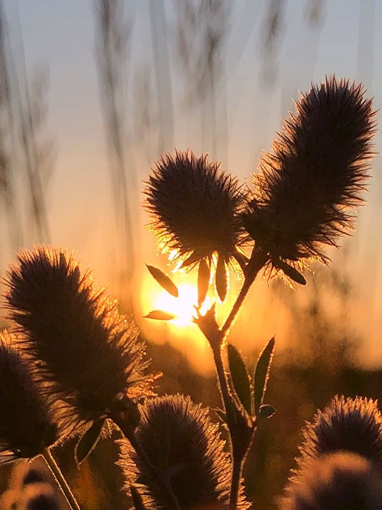 Photograph by Halina Mitsevich