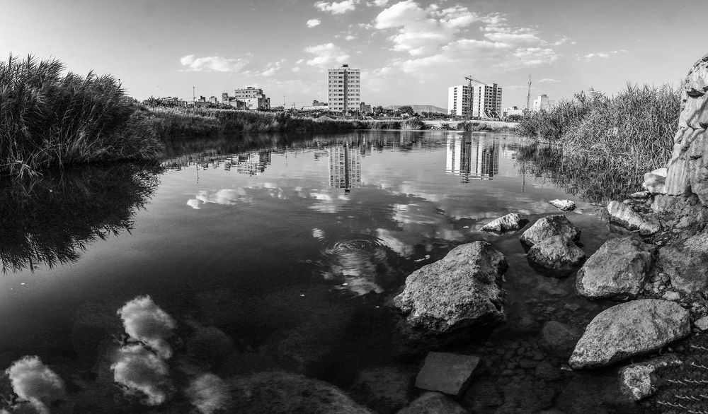 Фотография автора Daniyal Arabzadeh