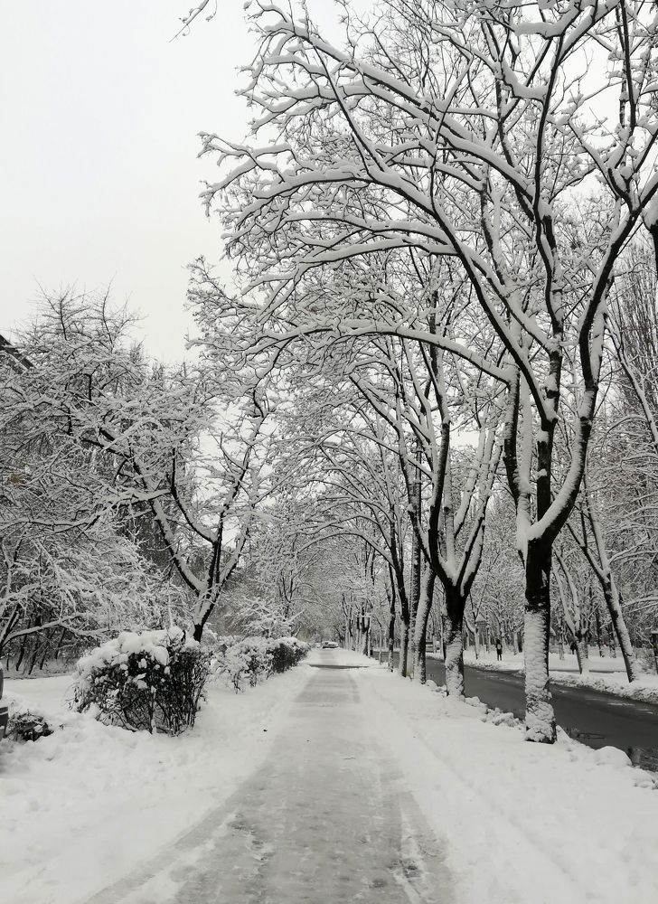 Photograph by Анна Малютина