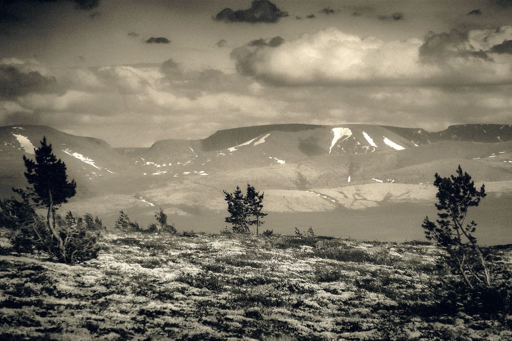 Декорации в театре жизни