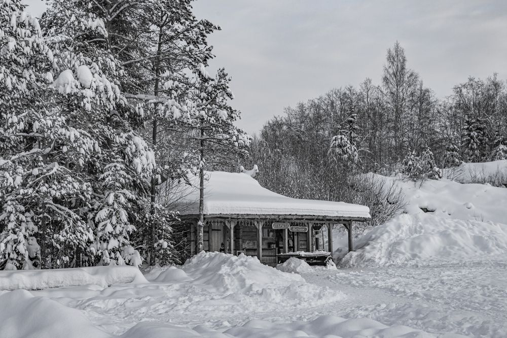Photograph by Камагина Евдокия