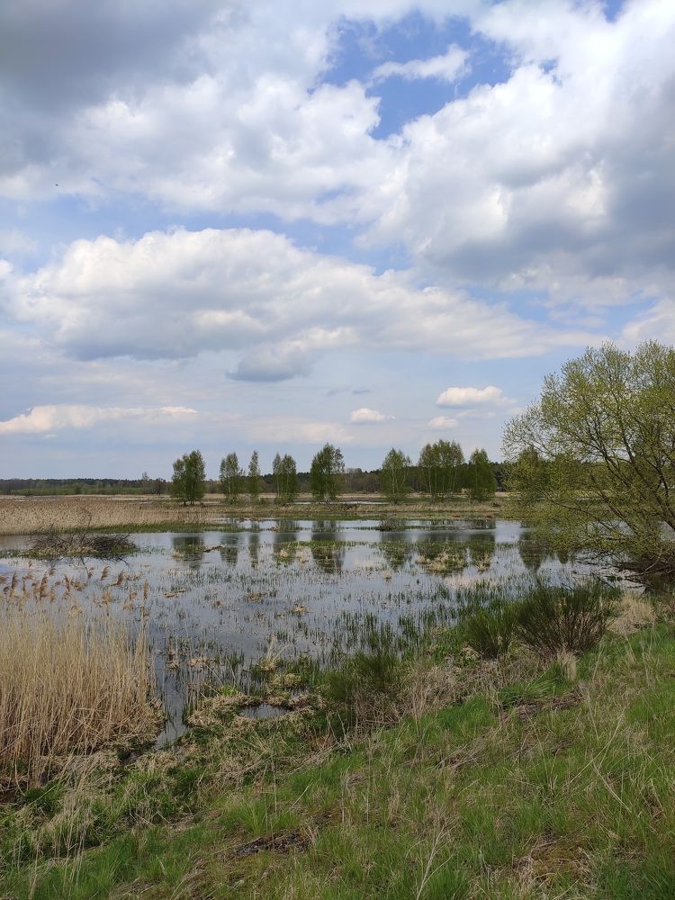 Photograph by Алёна