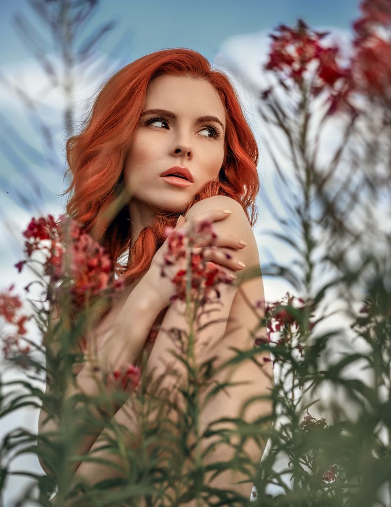 Фотография автора Alexandr Volkov