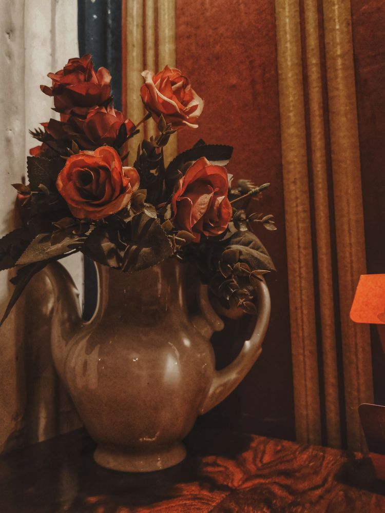 Photograph by Bojana Vein