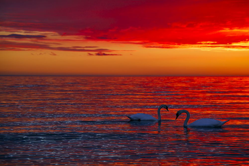 Фотография автора Ruslans Godlevskis