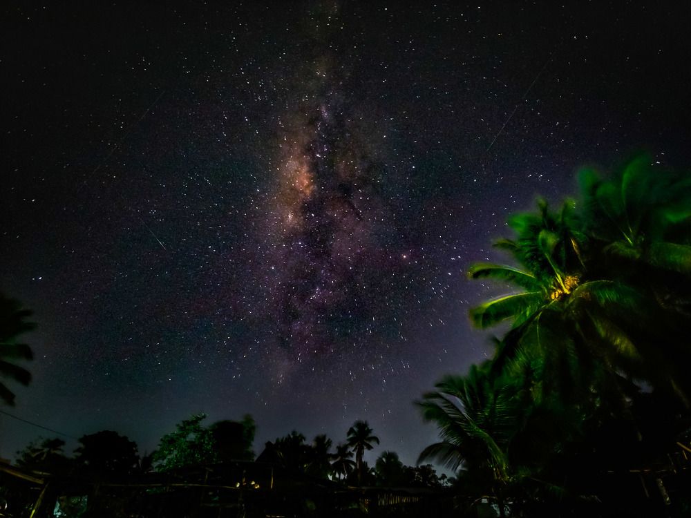 Photograph by Mark Acal