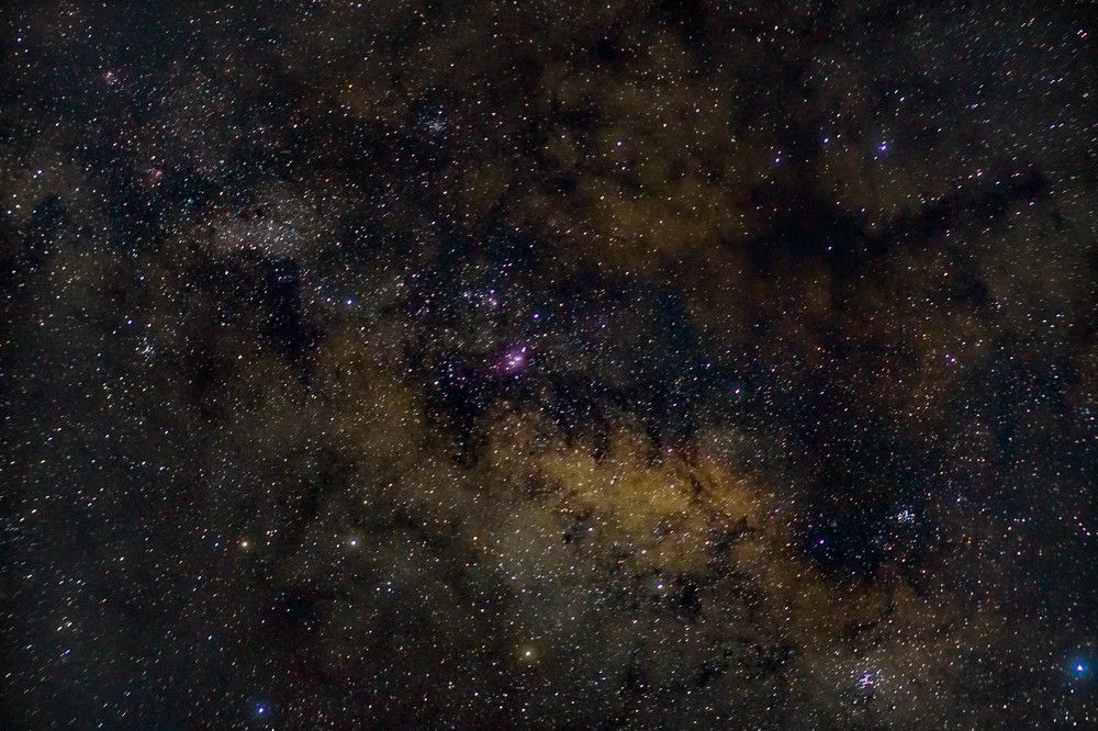 Photograph by Mark Acal