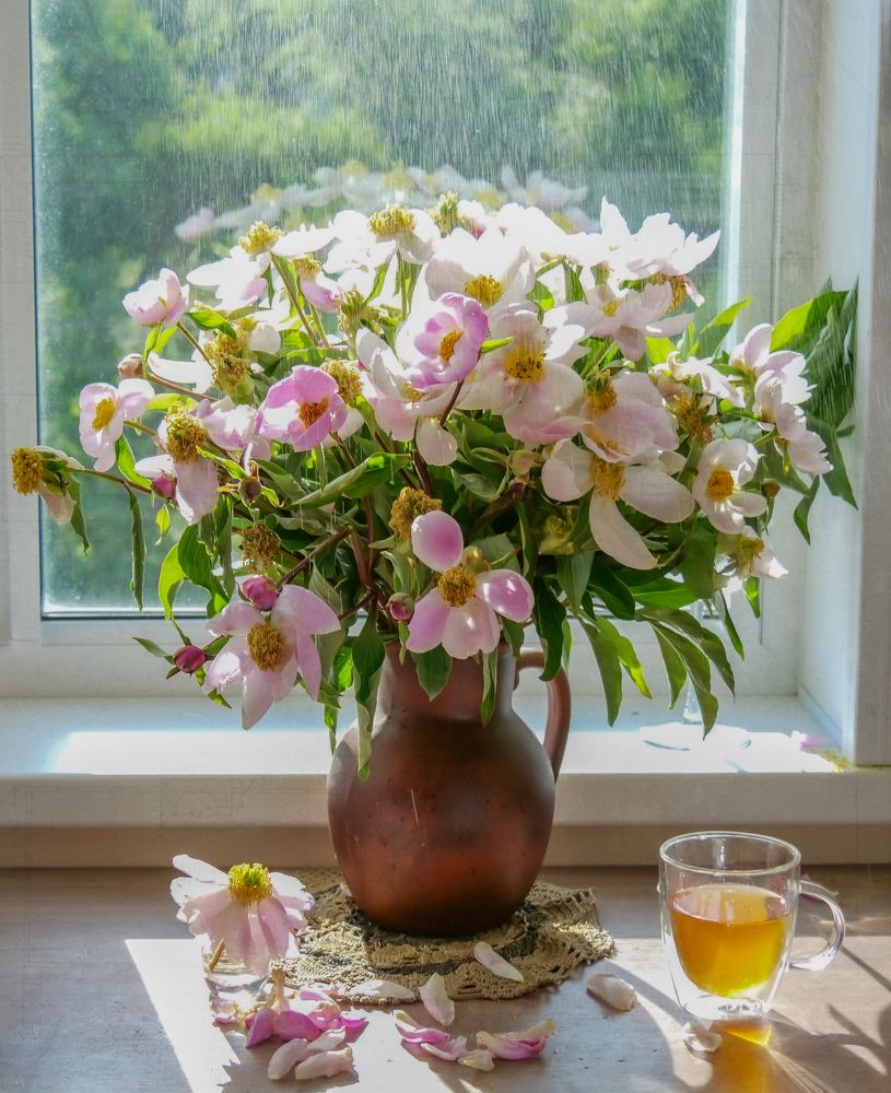 Photograph by Наталья Заровнева