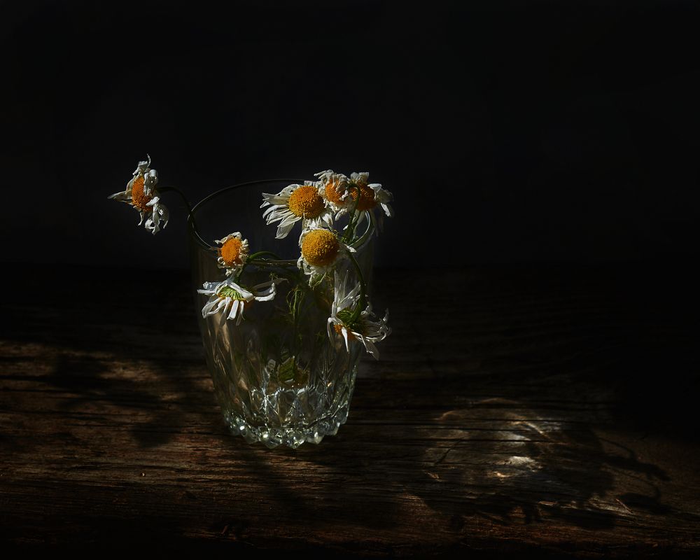 Photograph by Людмила Волкова