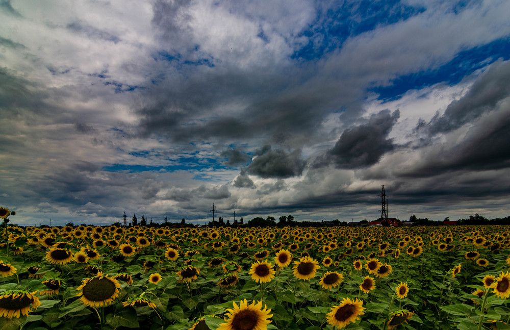Photograph by Редько Александр