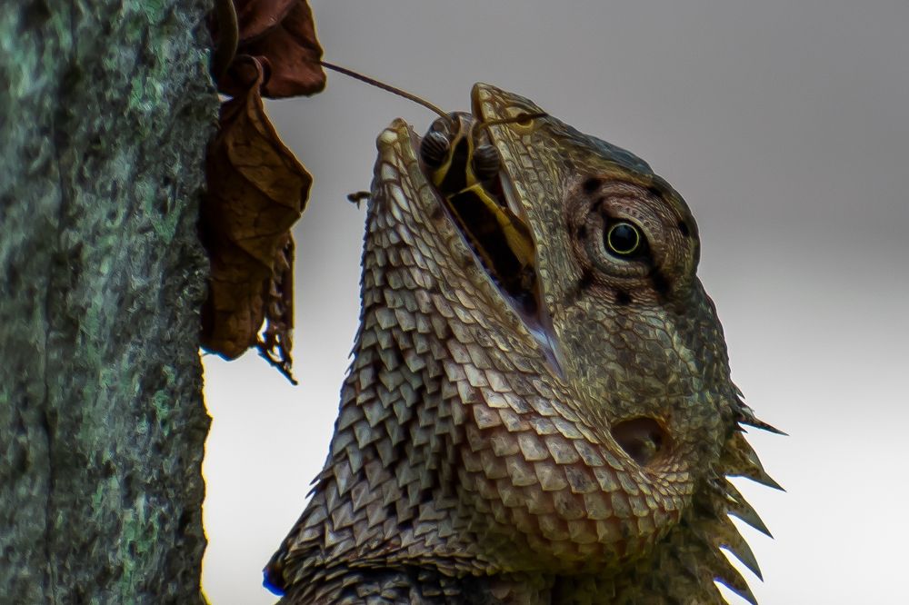 Photograph by Minula Nikeshala