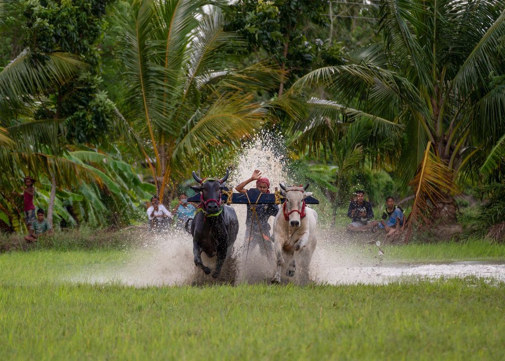 Photograph by Sharad Mansharamani
