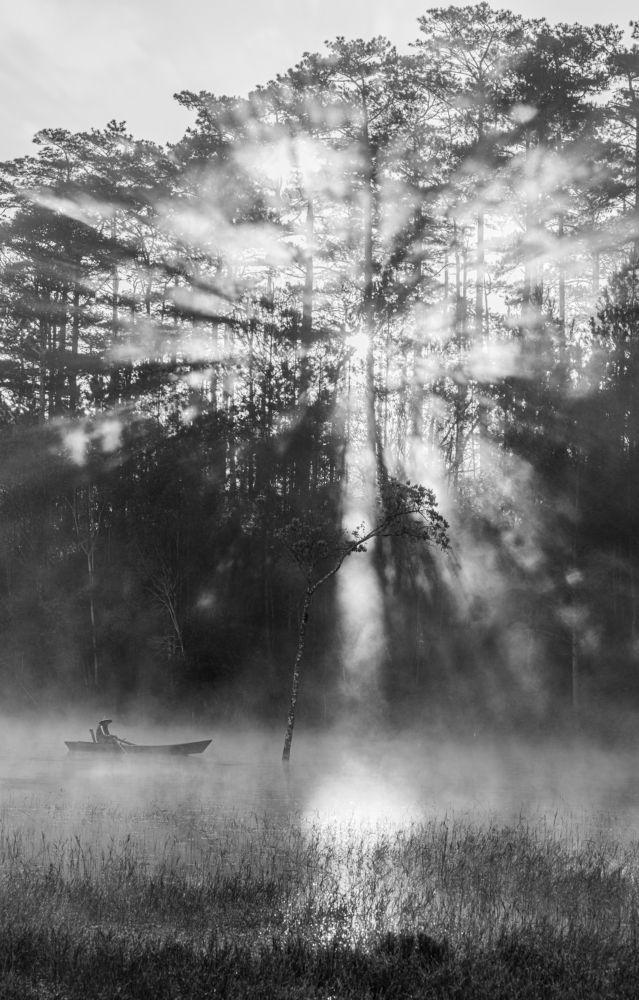 Photograph by nguyễn minh