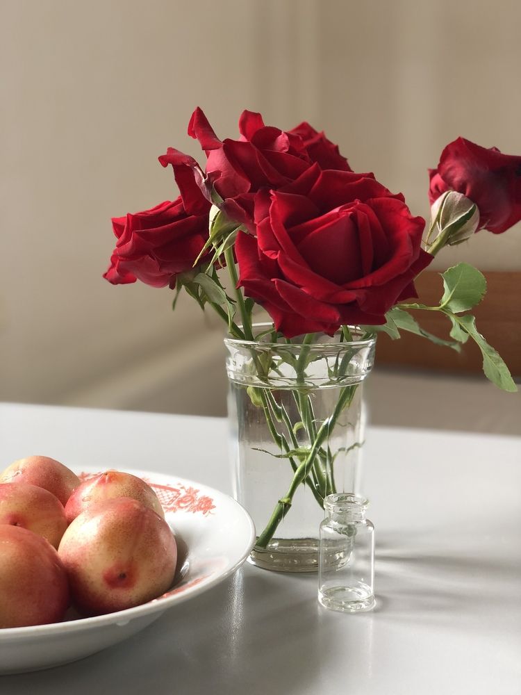 Photograph by Юлия Стародубцева