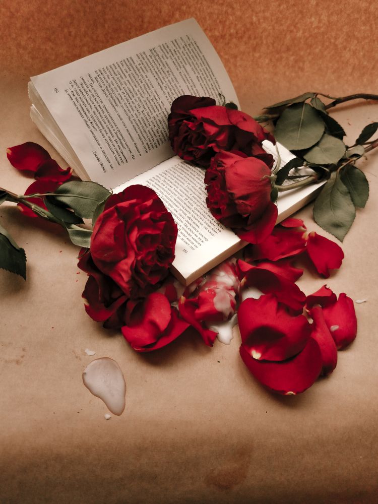 Photograph by Анна Бобрик