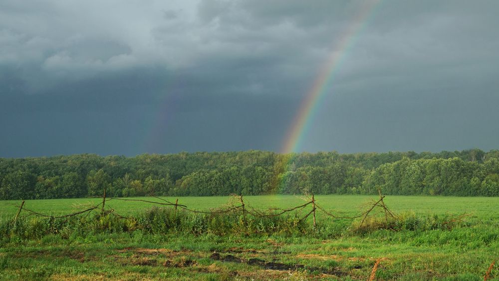 Фотография автора Галина