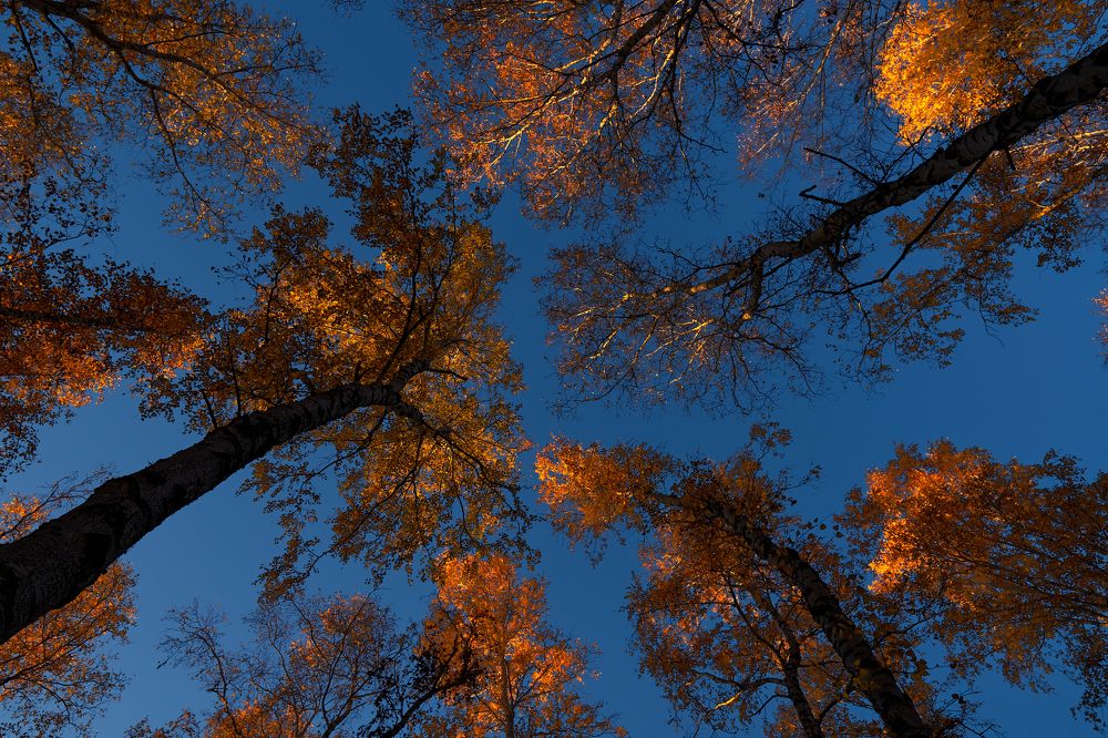 Фотография автора Игорь Игоревич