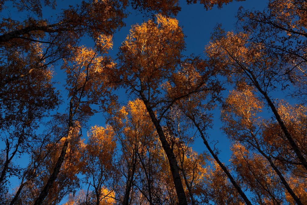 Фотография автора Игорь Игоревич