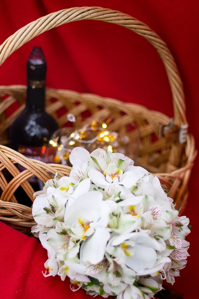 Фотография автора Алёна Подгорная