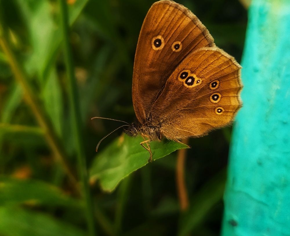 Photograph by Екатерина Хужаева