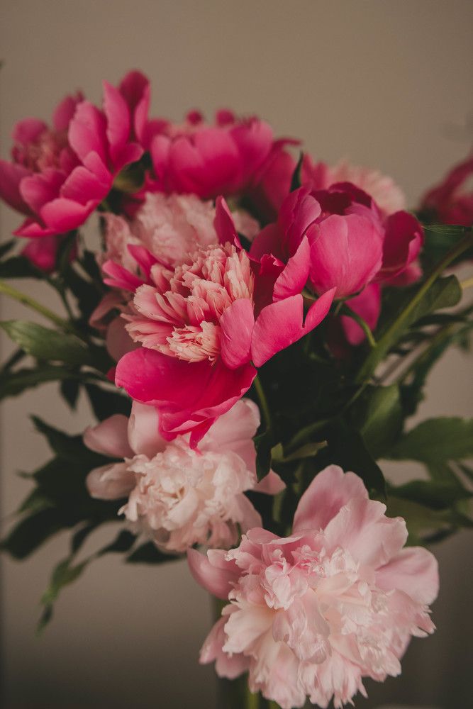 Photograph by Евгения Черемных