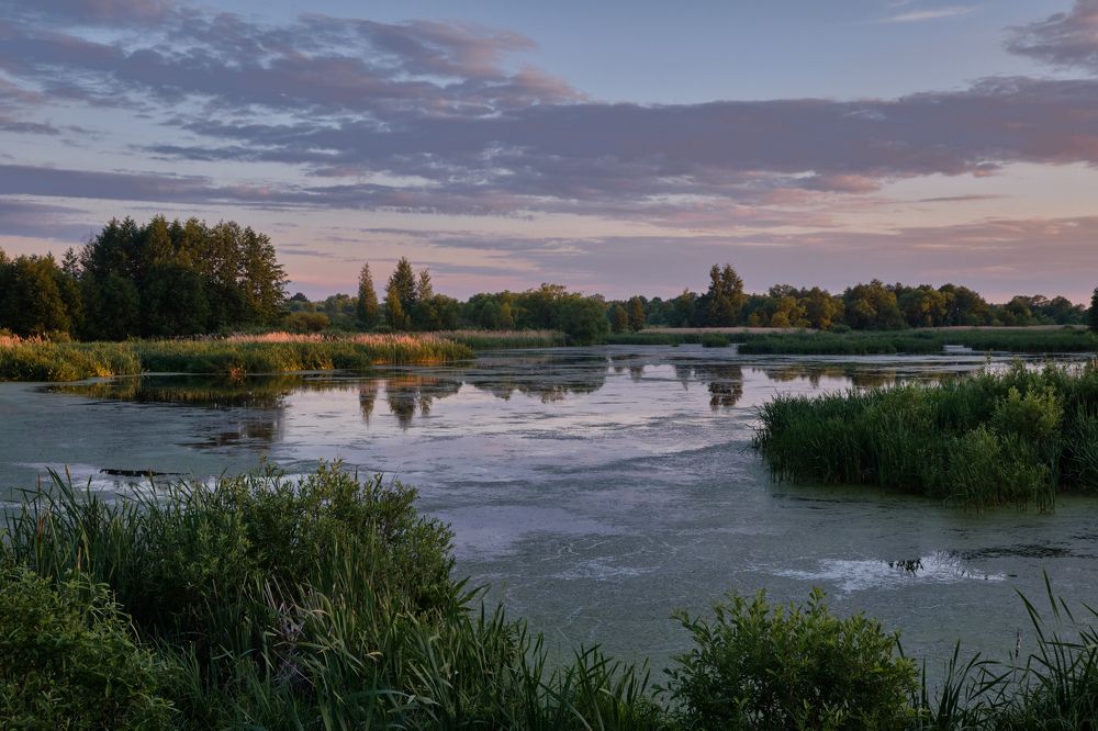 Фотография автора Виктор Долматов