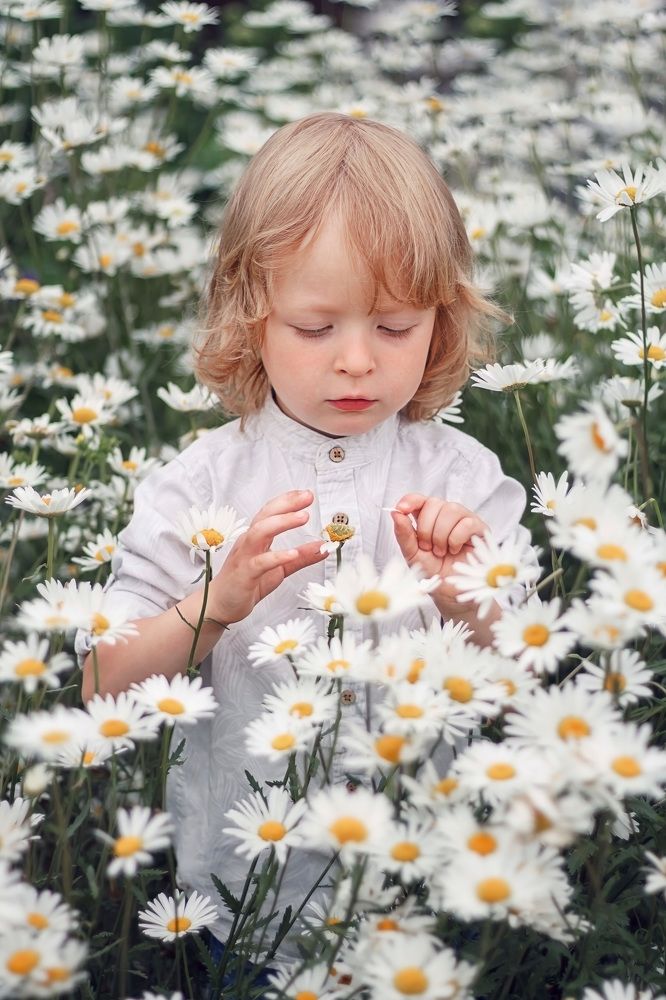 Photograph by Елена Николаева