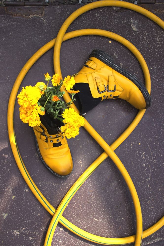 Photograph by Марина