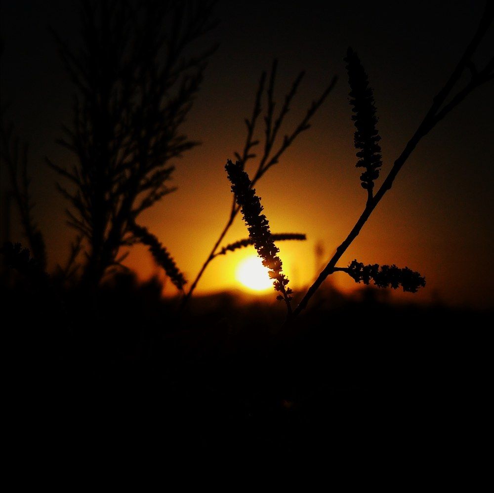Photograph by Hadith Shalev Ghaffari