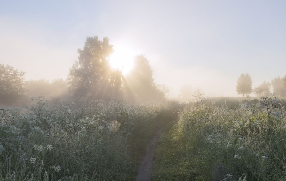 Фотография автора Ольга Бонина
