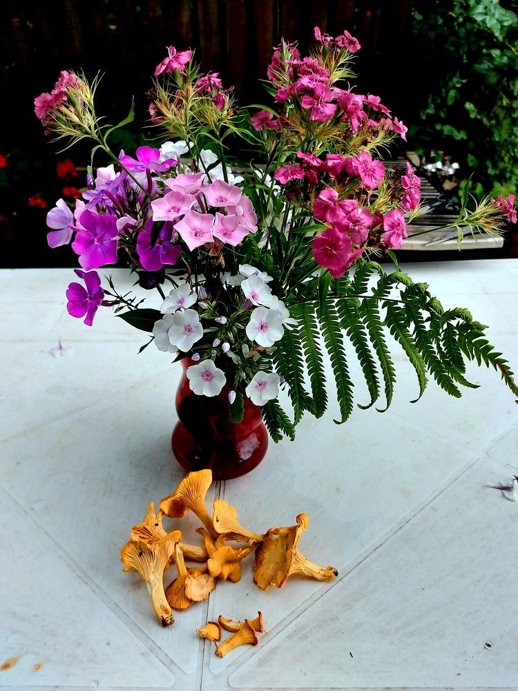 Photograph by Фролова Светлана