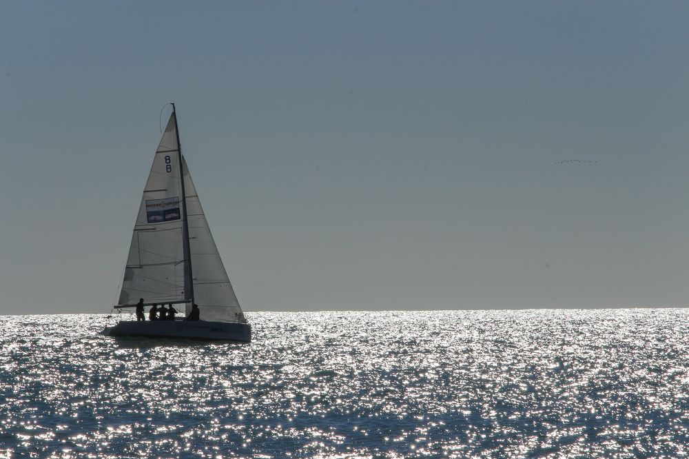 Фотография автора Александр Довганюк